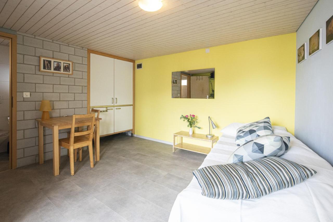 Casa Eva Apartment Ronco sopra Ascona Bagian luar foto
