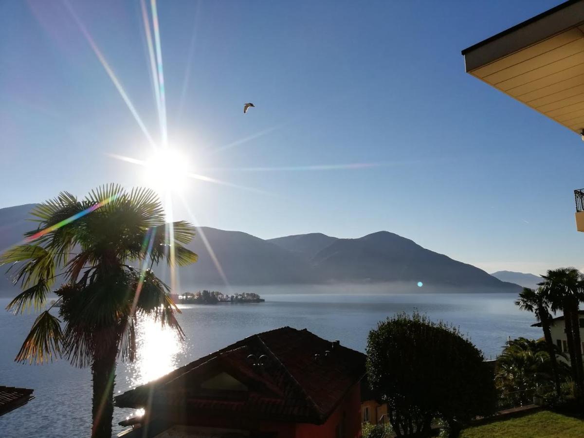 Casa Eva Apartment Ronco sopra Ascona Bagian luar foto