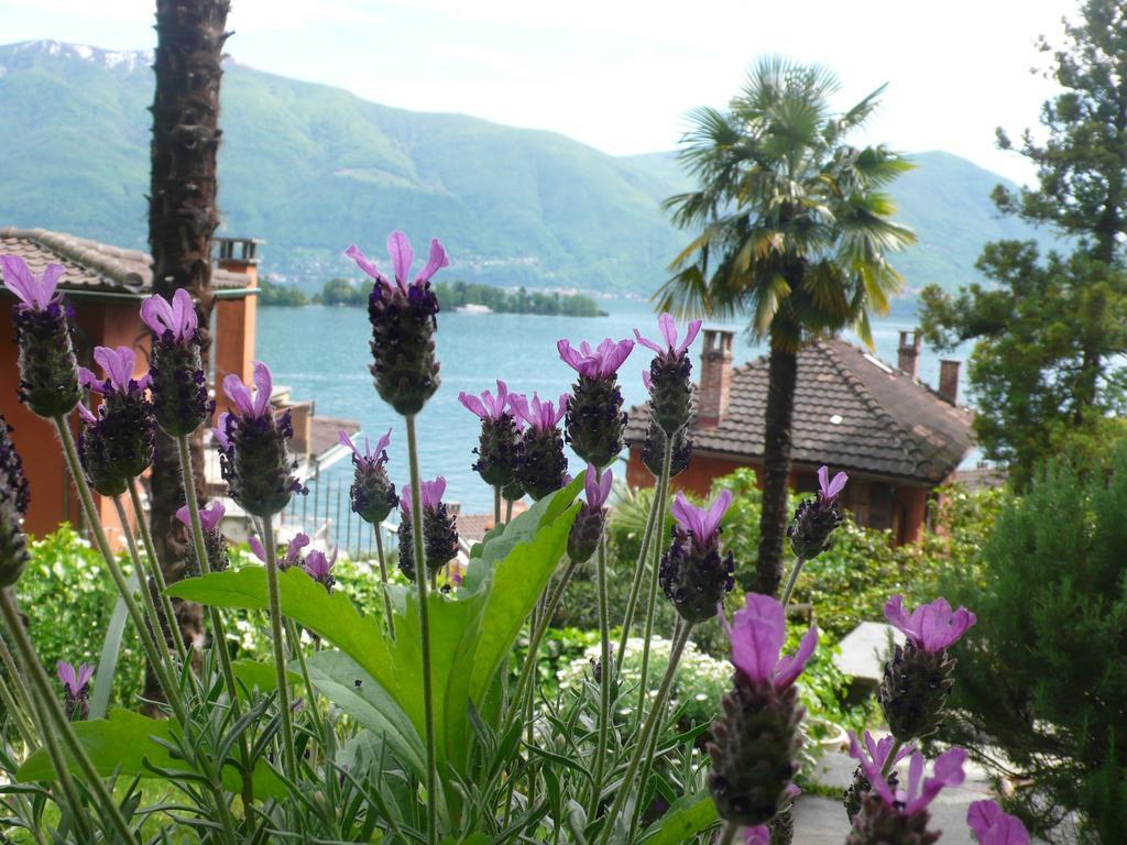 Casa Eva Apartment Ronco sopra Ascona Bagian luar foto
